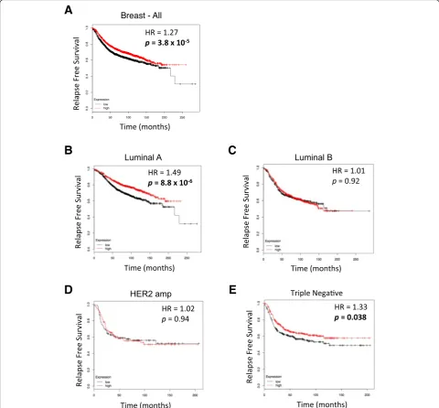 Fig. 7 Poorer prognosis for luminal A breast cancer and triple negative breast cancer (TNBC) patients is associated with low expression of CREB3L1.growth factor receptor 2 (Relapse-free survival probability for breast cancer patients: all (Kaplan–Meier rel