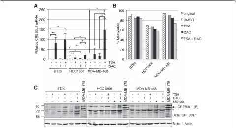 Fig. 2 Trichostatin A (and MDA-MB-468 cells were treated with DAC ± TSA. CREB3L1 mRNA levels were quantified (qPCR) relative to a glyceraldehyde-3-phosphatedehydrogenase (GAPDH)-specific control
