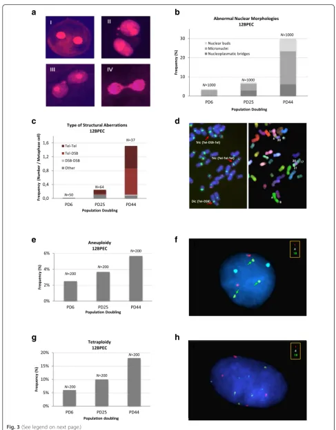 Fig. 3 (See legend on next page.)