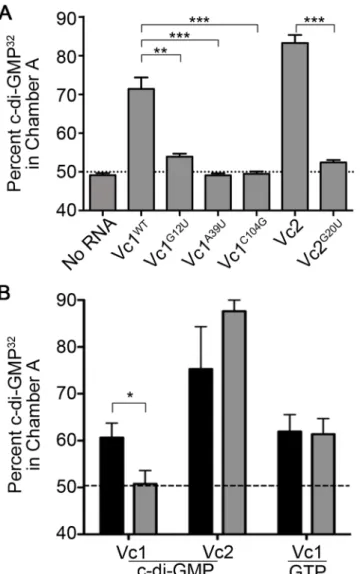 Fig 4. Vc1 directly and specifically interacts with c-di-GMP. (A) Binding of c-di-GMP 32 to in vitro transcribed Vc1 RNA and mutant derivatives was measured by equilibrium dialysis as described in the Materials and Methods