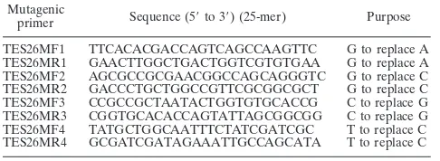 TABLE 1. Mutagenic primers used to repair base errors in TES-26recombinant plasmids
