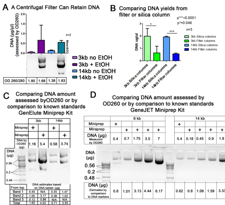 Fig 3. Testing whether the columns might act as a filter and verifying DNA yields using comparison to known DNA standards