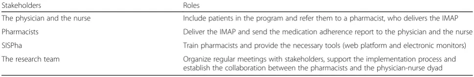 Table 2 Description of the strategies developed during the preparation stage of the IMAP implementation