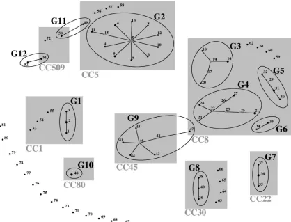 FIG. 1. Schematic representation of the SIRU groups identiﬁed by eBURST v3 analysis. The size of the dots is proportional to the number ofisolates of each SIRU proﬁle