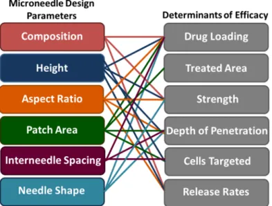 Fig 1. Relationship between microneedle design parameters and therapeutic efficacy. The left column is a list of microneedle design parameters, whereas the right column is a list of factors affecting the efficacy of microneedles used for transdermal drug d