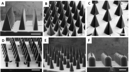 Fig 4. TMPTA Microneedles of Different Shapes. A) TMPTA microneedles of aspect ratio 2, 3, and 4 (left to right)