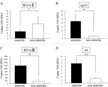 FIG. 1. Levels of expression of RNAII (A), agrAas determined by real-time RT-PCR with an ABI Prism 7900 sequence detection system