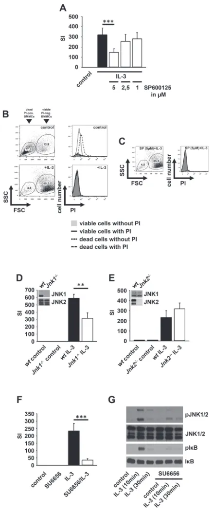 Figure 3: JNK1 and SFKs mediate the IL-3-induced mitogenic signaling. (A–C) BMMCs were pre-treated with SP600125