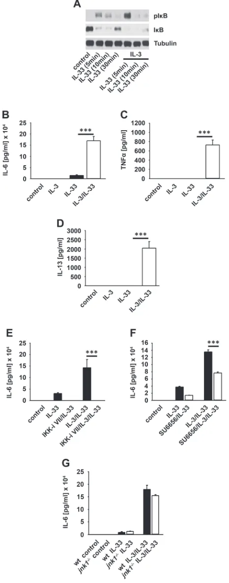Figure 4: IL-3 primes BMMCs for stimulation with IL-33. (A, B)stimulated with IL-33 or IL-33 in combination with IL-3