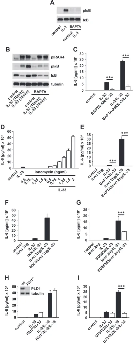 Figure 5: Ca2+ mediates the IL-3-induced mast cell priming. (A, B) BMMCs were pre-treated with BAPTA-AM and stimulated with IL-3 (A) or IL-33 (B)