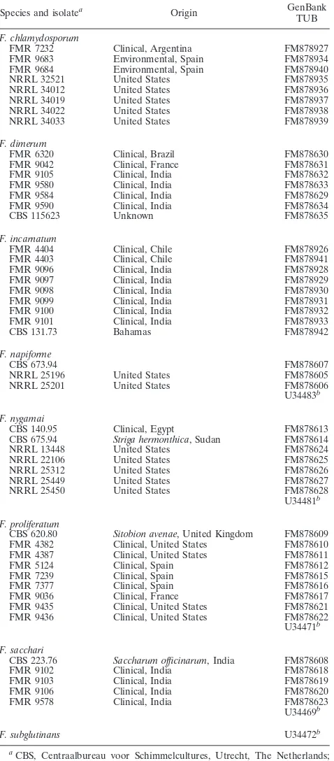 TABLE 1. Isolates included in this study and their origins
