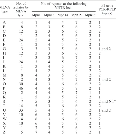 TABLE 3. Characteristics of VNTR markers