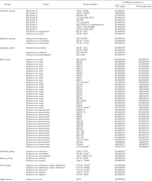 TABLE 1. The 68 strains of the genus Streptococcus used in the study