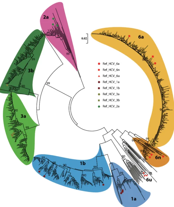 Fig 1. Phylogenetic tree. Neighbor-joining tree representing the relationship of all sequences with reference sequences