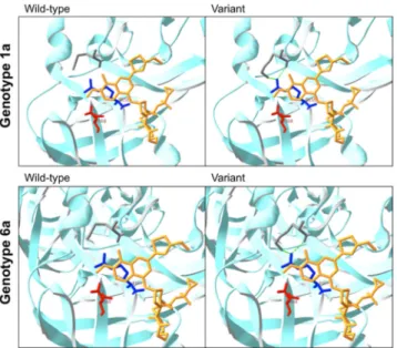 Fig 2. Comparison of crystal structures of NS3 protease with and without the Q80K variant