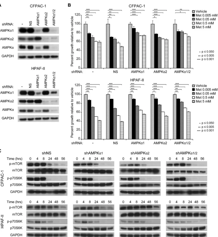 Fig 4. AMPK is only partially required for the anti-proliferative effects of metformin