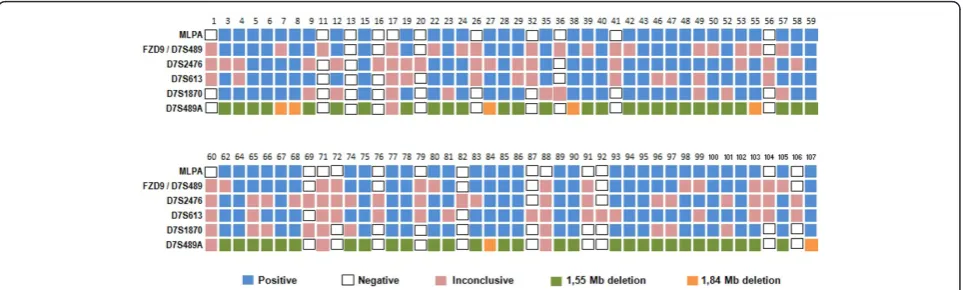 Figure 3 Comparison between the results obtained by microsatellite markers and MLPA. A total of 88 patients participated of the studyand numbered 1 to 107