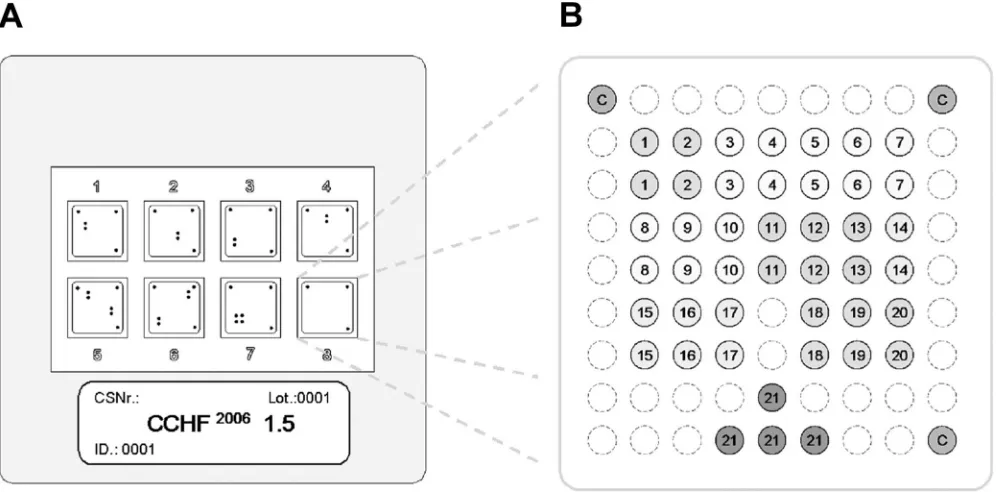 FIG. 1. Schematic diagram of the microarray. (A) Illustration of the 50- by 50-mm polymer support with the eight identical, individuallyaddressable array ﬁelds