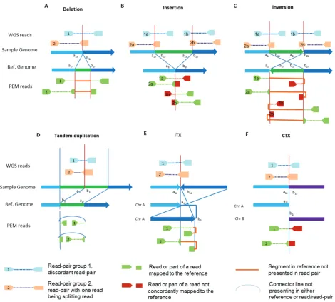 Figure 2: diagram of sV types and nGs signatures, before and after mapping. A) Deletion; B) Insertion; C) Inversion; D) Tandem duplication; E Intra-chromosomal translocation (ITX); F) Inter-chromosomal translocation (CTX).