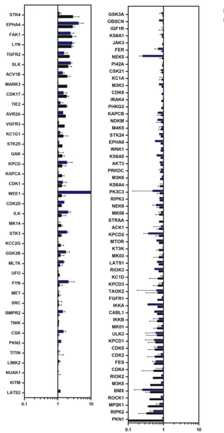 Figure 3.9: A subset of over or under represented kinases are conserved  across CCM1 and CCM3 deficient Huvecs