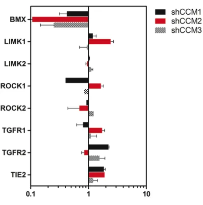 Figure 3.11: Kinases important for endothelial function are deregulated in  CCM1, -2, and -3 deficient Huvecs