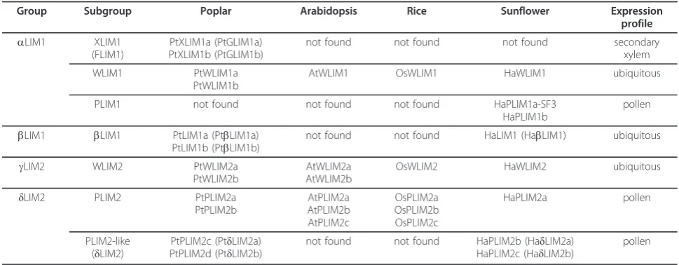 Table 1 Phylogenetic classification and nomenclature of poplar PtLIM genes