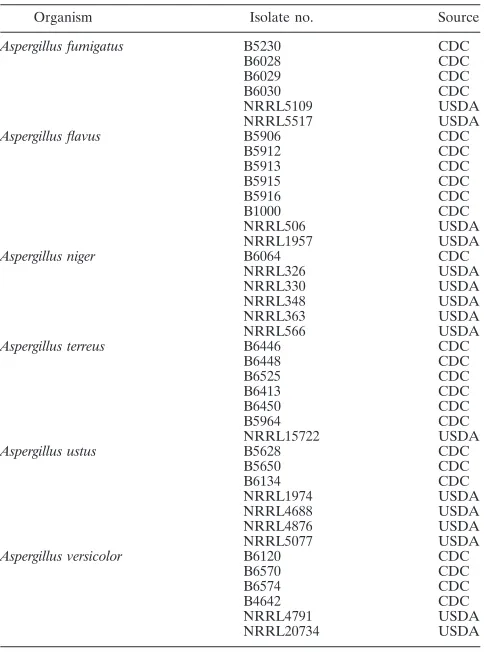 TABLE 2. Aspergillus species-speciﬁc Luminex probes directed tothe ITS-1 region of the rRNA