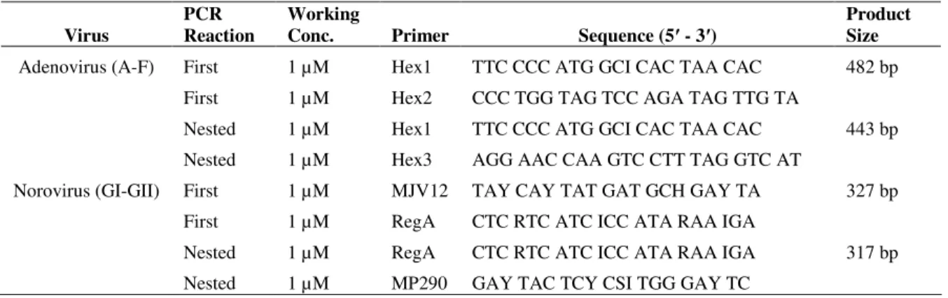 Table 2.  Primers used for the detection of adenovirus and norovirus by nested PCR 