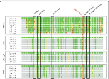 Figure 9 LGA_pdblist functional side-chain differencesbetween NDM-1 and other B1 MBLs