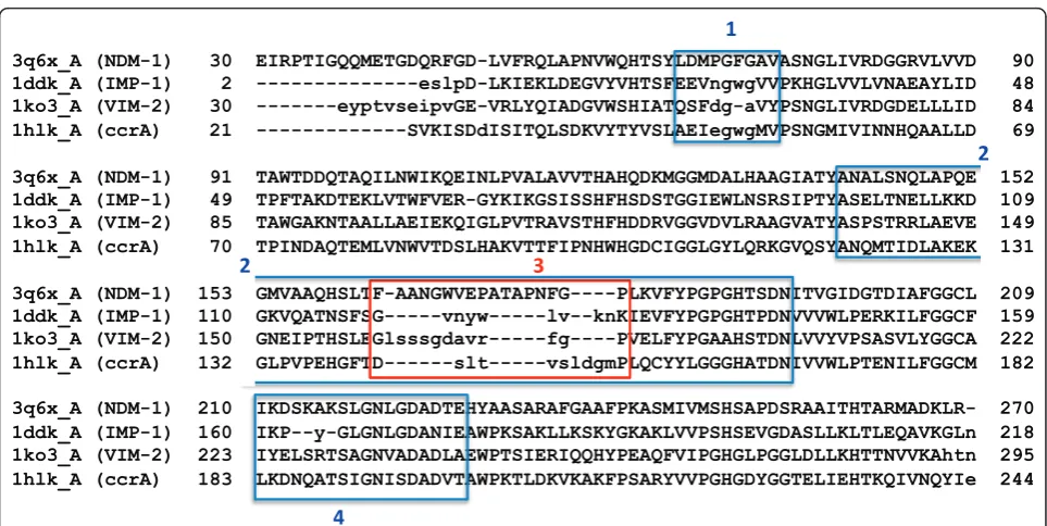 Figure 1 Structure-based sequence alignment of NDM-1, IMP-1, VIM-2 and ccrA(3q6x_A) as the reference