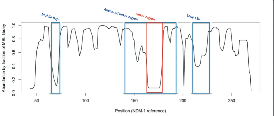Figure 3 Structural abundances of NDM-1 based on MBL structural fragment comparisons. (A) Structural abundance, per residue forNDM-1