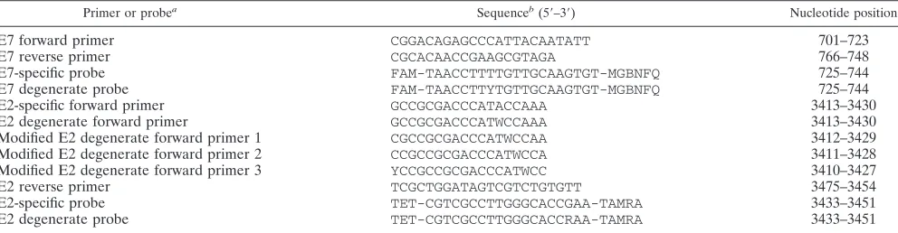 TABLE 1. Primers and probes