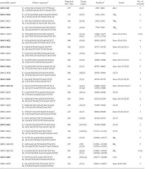 TABLE 1. Characteristics of amplicons containing HSV-1 microsatellite sequences