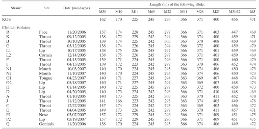 FIG. 1. Linear map of genomic distribution of HSV-1 microsatellites. The linear double-stranded DNA is represented with the nucleotide scaleat the bottom according to the sequence of strain 17 (GenBank accession number X14112)