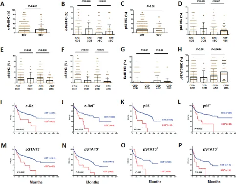 Figure 3: Association between CD5 and NF-κB/STAT3 activation in DLBCL and the independent prognostic significance of CD5 expression 