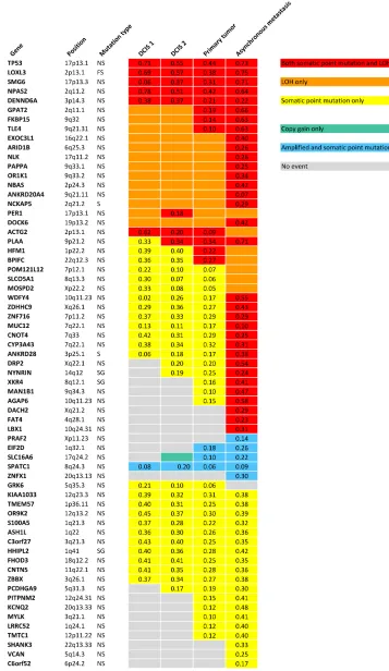 Figure 3: Validated point mutations specified with B Allele Frequencies combined with copy number events within each step of malignant progression