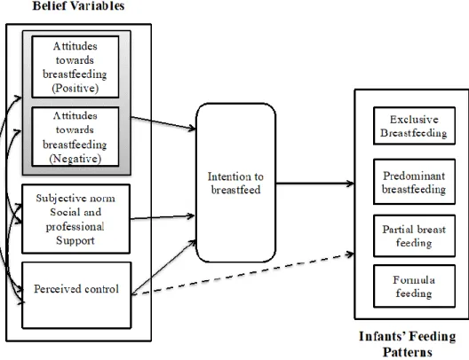 Figure 1.1. Ajzen’s (1991) theory of planned behavior as applied to breastfeeding    In addition to the concepts of the TPB, I modeled sociodemographic variables to 