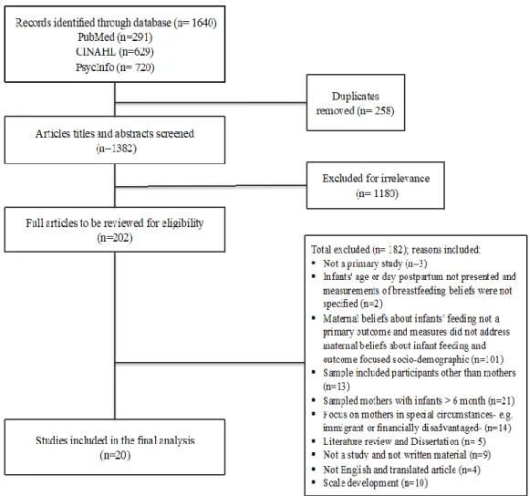Figure 2.1. PRISMA flow diagram of the selection process of the studies 
