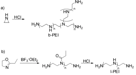 Figure 1.4.  Synthesis and structure of a) branched PEI (b-PEI) and b) linear PEI (l-PEI) 