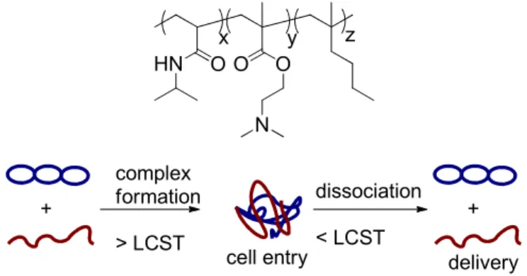 Figure 1.10.  top: Thermoresponsive PNIPAM-co-PDMAEMA-co-PBMA; bottom: Temperature  controlled complex formation and deformation utilized for dynamic delivery system 