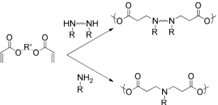 Figure  1.13.    Conjugative  addition  polymerization  to  yield  poly(β-amino  ester)s  utilizing  bis- bis-secondary amines or primary amines 