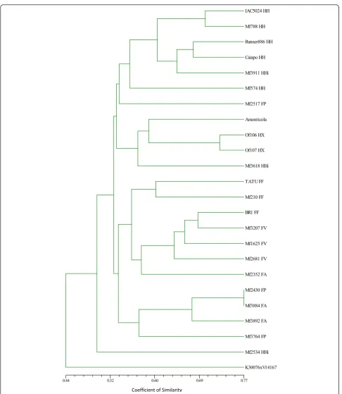 Figure 2 Dendrogram based on the band-sharing distances of 24FP-hypogaeaallotetraploid plant (K30076 × V14167) Arachis genotypes, generated by UPGMA