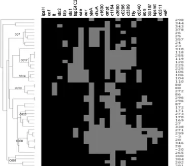 FIG. 2. Dendrogram of the STs of the major CGs from the representative E. colisquares indicate the presence of the gene for a given ST, and black indicates the absence of the gene