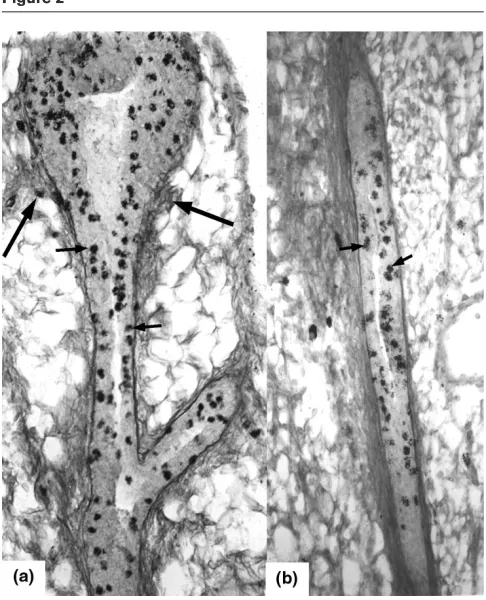 Figure 1Figure 2