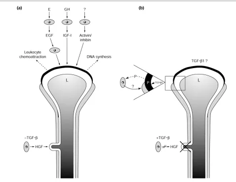 Figure 3commentary