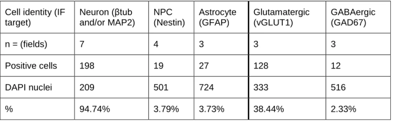 Table 2.4 Evaluation of differentiation efficiency and glutamatergic enrichment   Cell identity (IF 