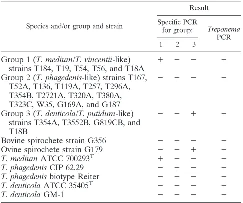 TABLE 2. Primers used to detect the three BDD treponeme phylogroups and all treponemes