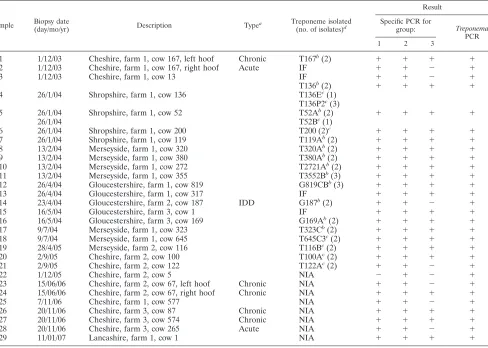 TABLE 3. PCR detection of treponemes in BDD lesion biopsies, 2003 to 2007