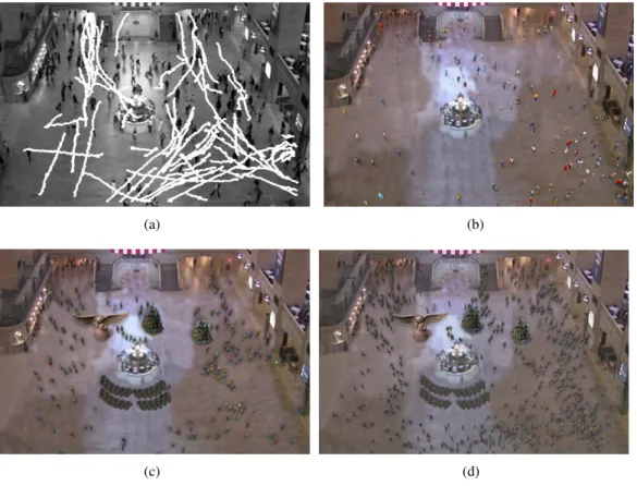 Figure 1.5: Train Station scenario: (a) Original Video. We use the tracklet data computed by the KLT algorithm as an input to our algorithm