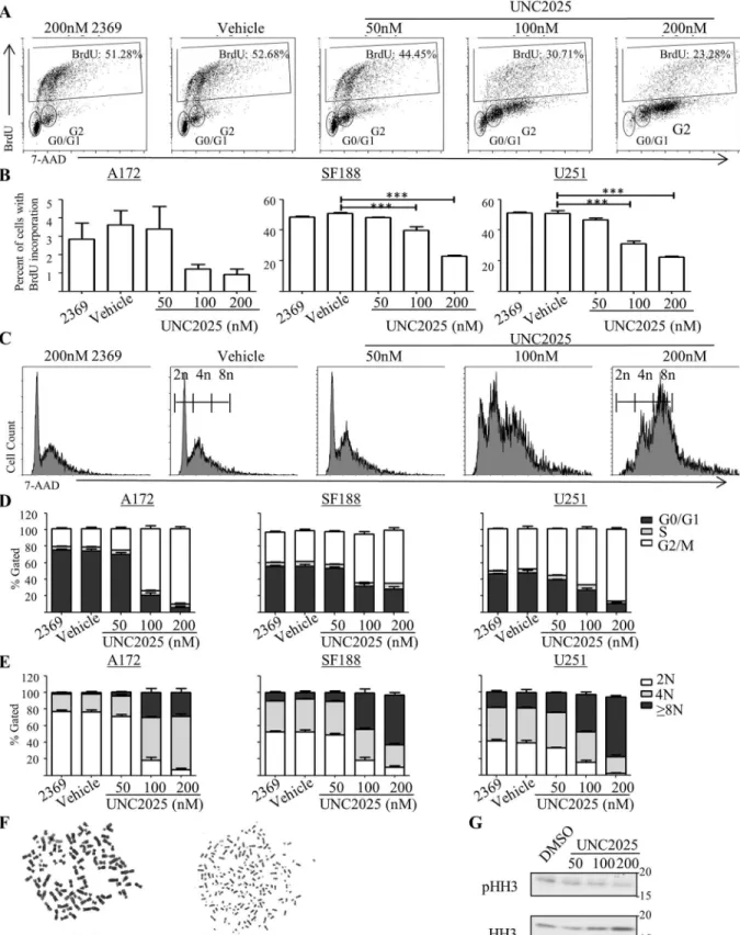 Fig 3. UNC2025 inhibits proliferation and induces polyploidy in GBM cells. A172, SF188, and U251 cells were treated with the indicated concentrations of UNC2025, 200nM UNC2369 (a negative control TKI), or vehicle (DMSO) for 48 hours
